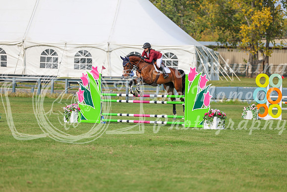 2025 - Shea - Fall Finale - Sunday September 14th - 10150
