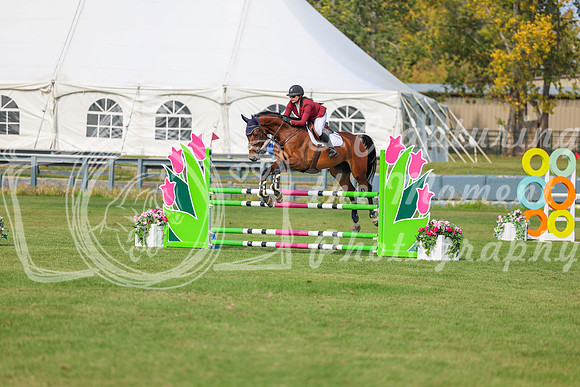 2025 - Shea - Fall Finale - Sunday September 14th - 10151