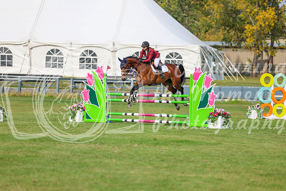 2025 - Shea - Fall Finale - Sunday September 14th - 10152