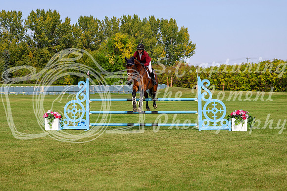 2025 - Shea - Fall Finale - Sunday September 14th - 10222