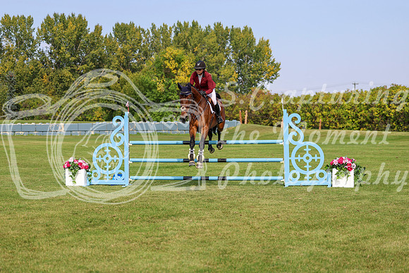 2025 - Shea - Fall Finale - Sunday September 14th - 10223