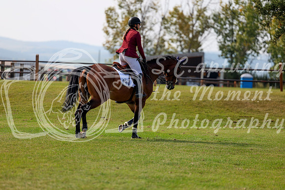 2025 - Shea - Fall Finale - Sunday September 14th - 10228