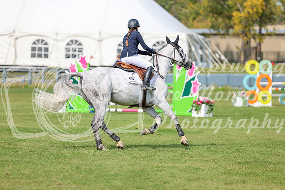 2025 - Shea - Fall Finale - Sunday September 14th - 10246