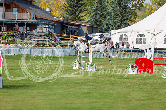 2025 - Shea - Fall Finale - Sunday September 14th - 10254