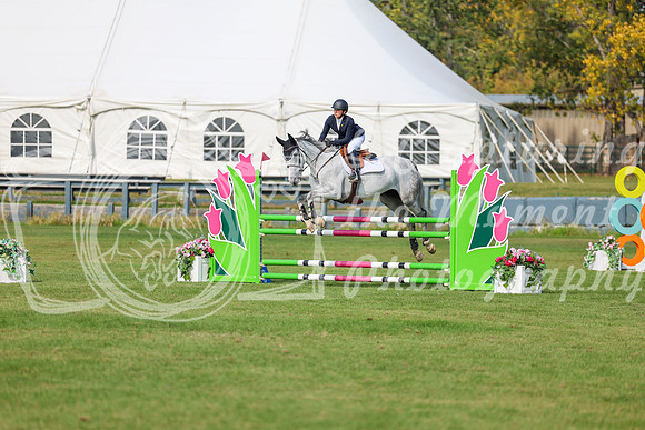 2025 - Shea - Fall Finale - Sunday September 14th - 10262