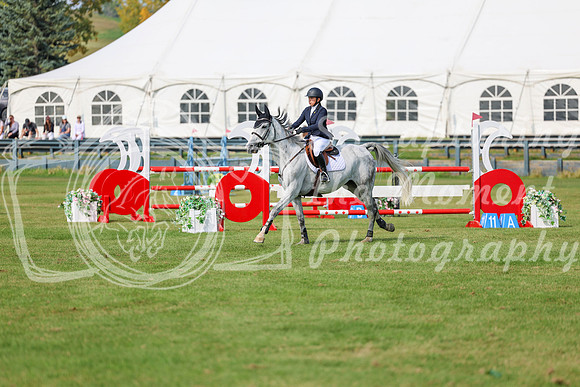2025 - Shea - Fall Finale - Sunday September 14th - 10265