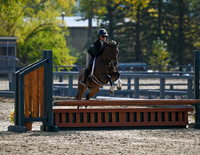 Pony