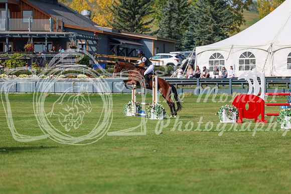 2025 - Shea - Fall Finale - Sunday September 14th - 10667