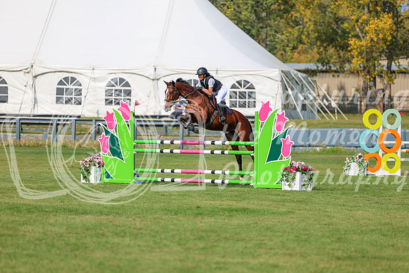 2025 - Shea - Fall Finale - Sunday September 14th - 10676