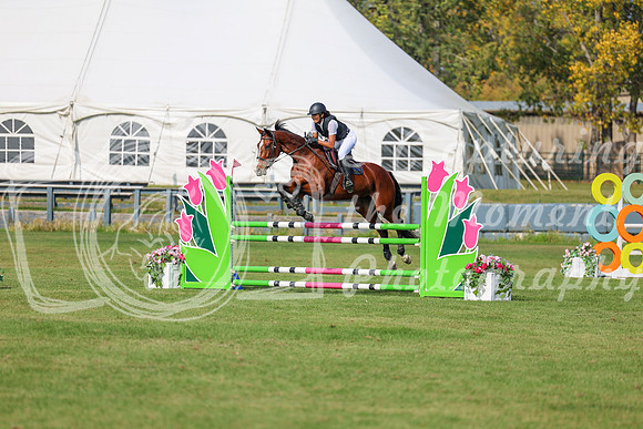 2025 - Shea - Fall Finale - Sunday September 14th - 10678