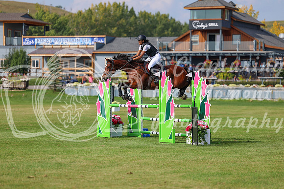 2025 - Shea - Fall Finale - Sunday September 14th - 10692