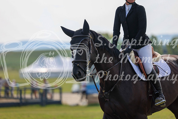 2025 - Shea - Fall Finale - Sunday September 14th - 10793
