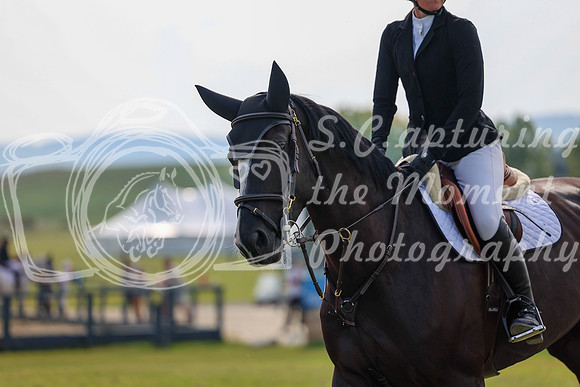 2025 - Shea - Fall Finale - Sunday September 14th - 10794