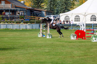 2025 - Shea - Fall Finale - Sunday September 14th - 10798