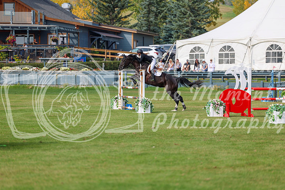 2025 - Shea - Fall Finale - Sunday September 14th - 10798