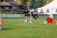 2025 - Shea - Fall Finale - Sunday September 14th - 10801