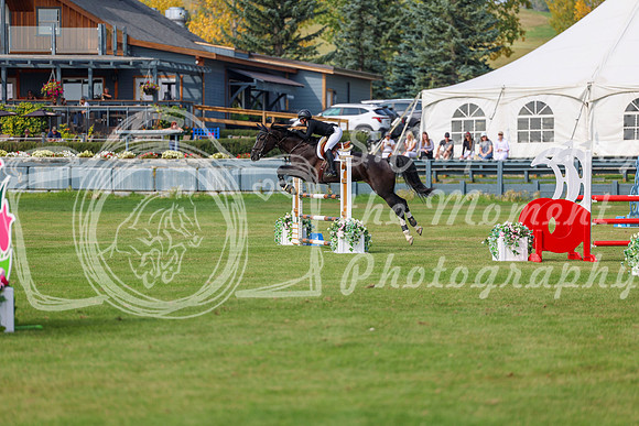 2025 - Shea - Fall Finale - Sunday September 14th - 10801