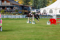 2025 - Shea - Fall Finale - Sunday September 14th - 10802
