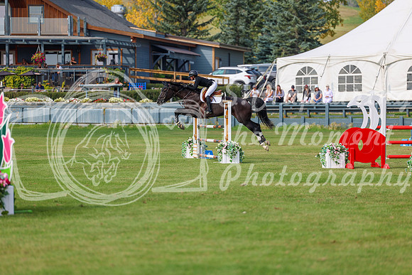 2025 - Shea - Fall Finale - Sunday September 14th - 10802