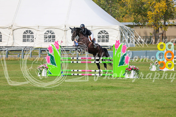 2025 - Shea - Fall Finale - Sunday September 14th - 10804