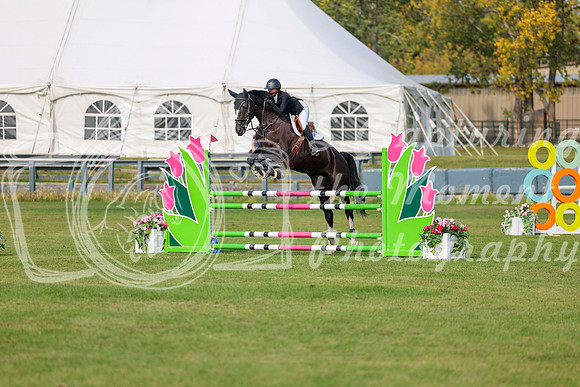 2025 - Shea - Fall Finale - Sunday September 14th - 10805
