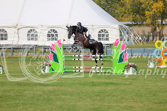 2025 - Shea - Fall Finale - Sunday September 14th - 10806