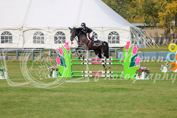 2025 - Shea - Fall Finale - Sunday September 14th - 10808
