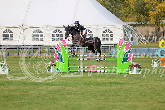 2025 - Shea - Fall Finale - Sunday September 14th - 10809