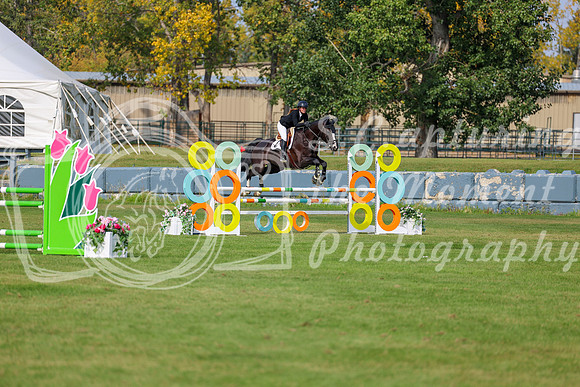 2025 - Shea - Fall Finale - Sunday September 14th - 10874