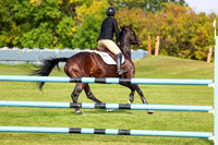 2025 - Shea - Fall Finale - Sunday September 14th - 10903
