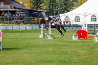 2025 - Shea - Fall Finale - Sunday September 14th - 10907