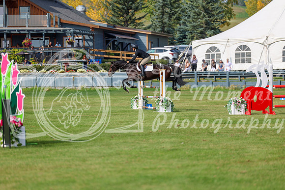2025 - Shea - Fall Finale - Sunday September 14th - 10911