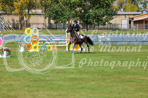 2025 - Shea - Fall Finale - Sunday September 14th - 10912