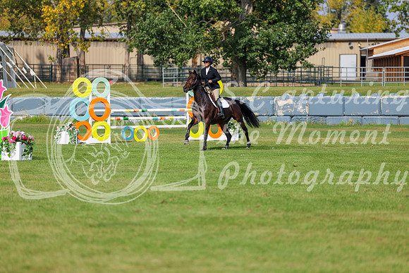 2025 - Shea - Fall Finale - Sunday September 14th - 10913