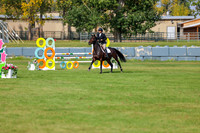 2025 - Shea - Fall Finale - Sunday September 14th - 10914