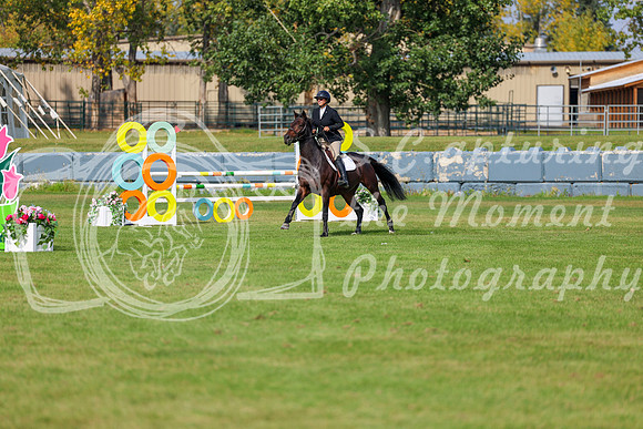 2025 - Shea - Fall Finale - Sunday September 14th - 10914