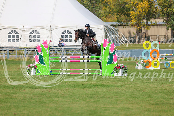 2025 - Shea - Fall Finale - Sunday September 14th - 10916