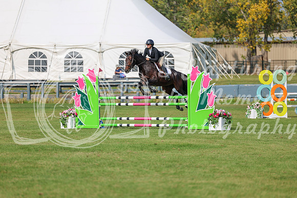 2025 - Shea - Fall Finale - Sunday September 14th - 10919