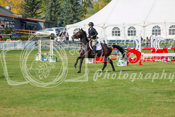 2025 - Shea - Fall Finale - Sunday September 14th - 10922