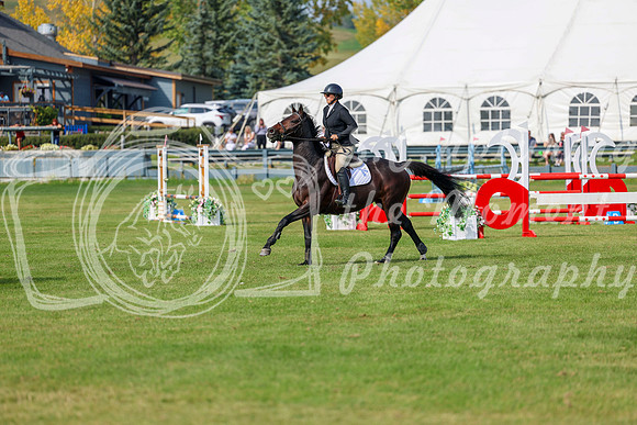 2025 - Shea - Fall Finale - Sunday September 14th - 10923
