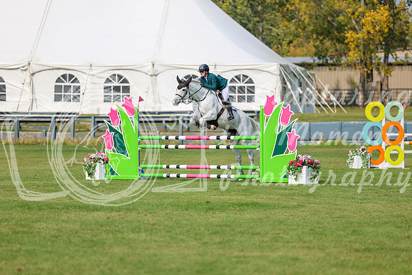 2025 - Shea - Fall Finale - Sunday September 14th - 11131