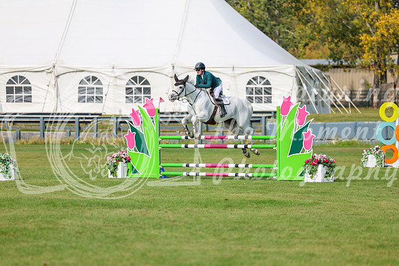 2025 - Shea - Fall Finale - Sunday September 14th - 11135