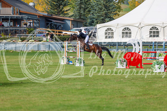 2025 - Shea - Fall Finale - Sunday September 14th - 11235