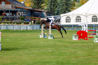 2025 - Shea - Fall Finale - Sunday September 14th - 11237