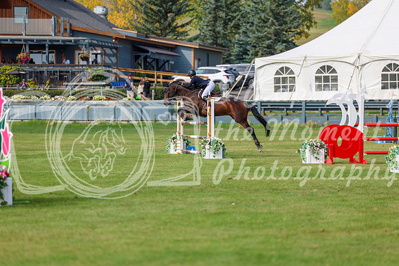 2025 - Shea - Fall Finale - Sunday September 14th - 11238