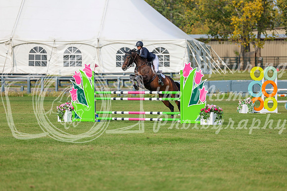 2025 - Shea - Fall Finale - Sunday September 14th - 11240