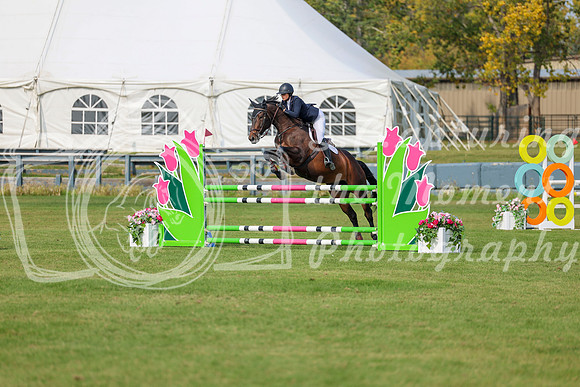 2025 - Shea - Fall Finale - Sunday September 14th - 11241
