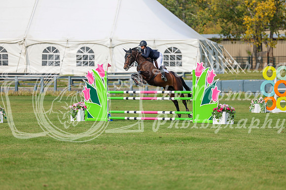 2025 - Shea - Fall Finale - Sunday September 14th - 11242