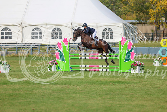 2025 - Shea - Fall Finale - Sunday September 14th - 11244