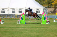 2025 - Shea - Fall Finale - Sunday September 14th - 11245
